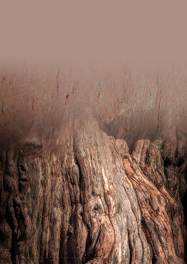 DECOTON-Farbe - Deep Forest Ansicht